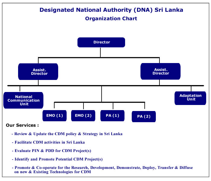 Cdm Organisation Chart