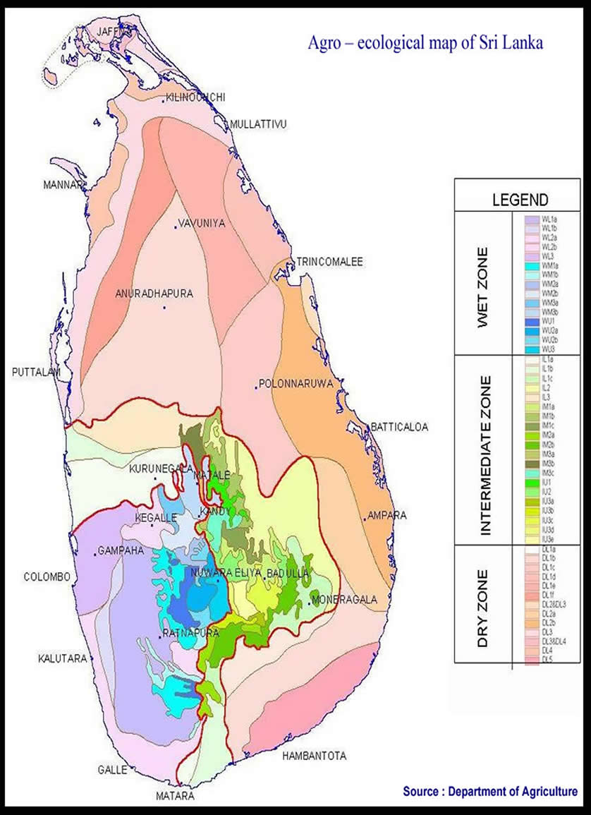 Colombo Climate Chart